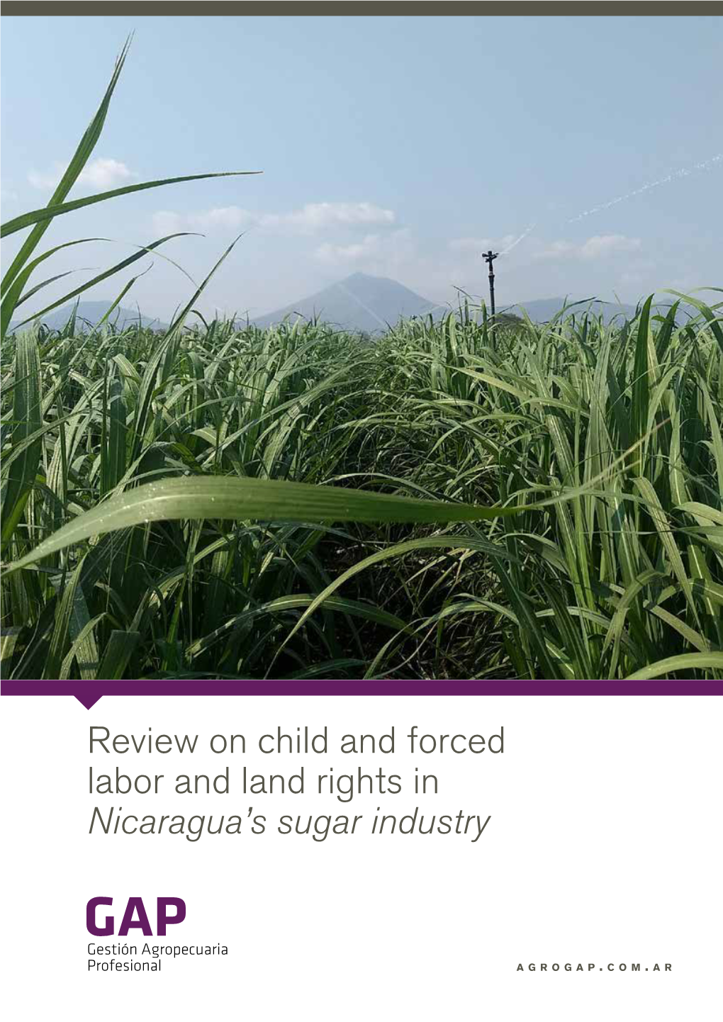 Nicaragua’S Sugar Industry