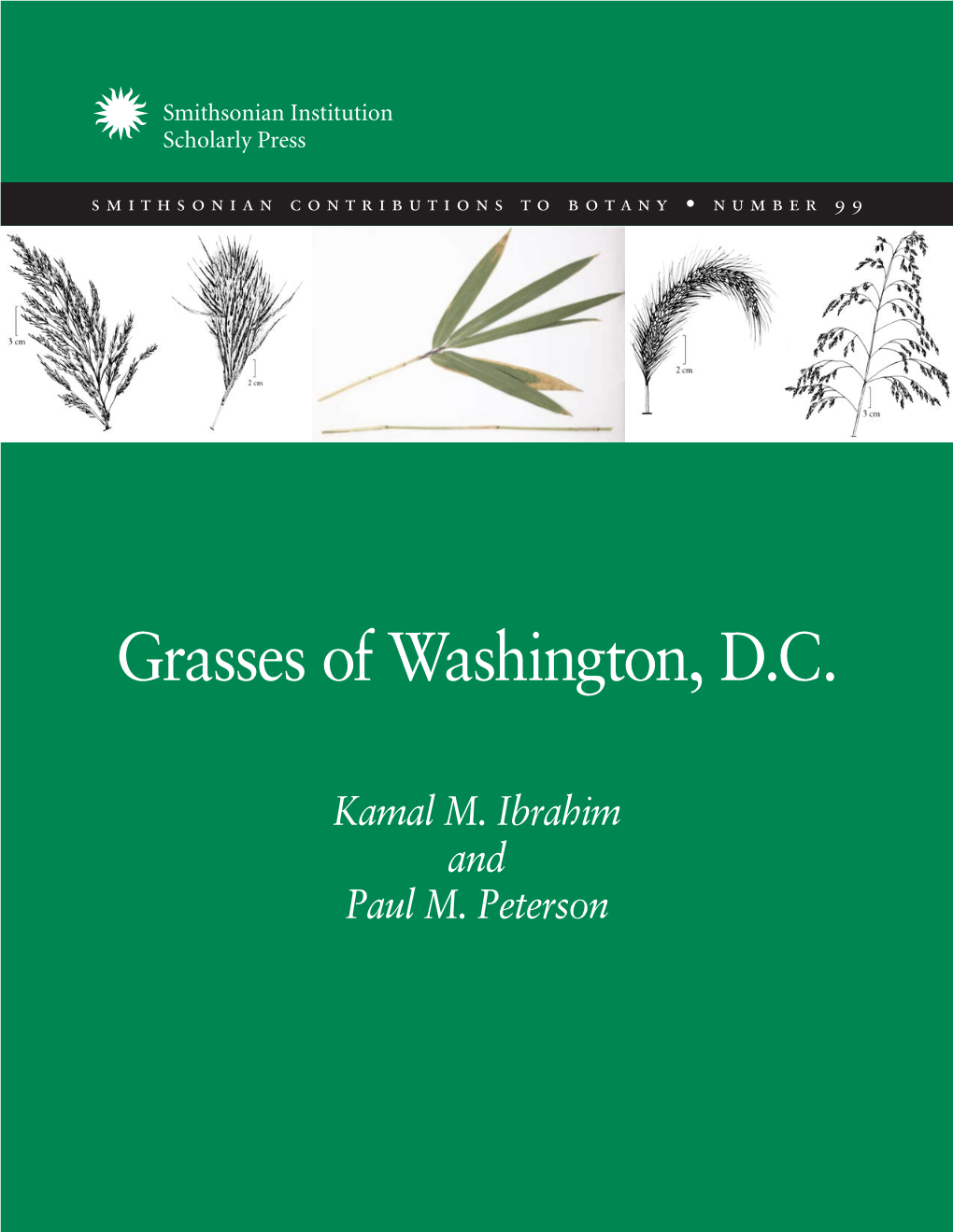 Grasses of Washington, D.C