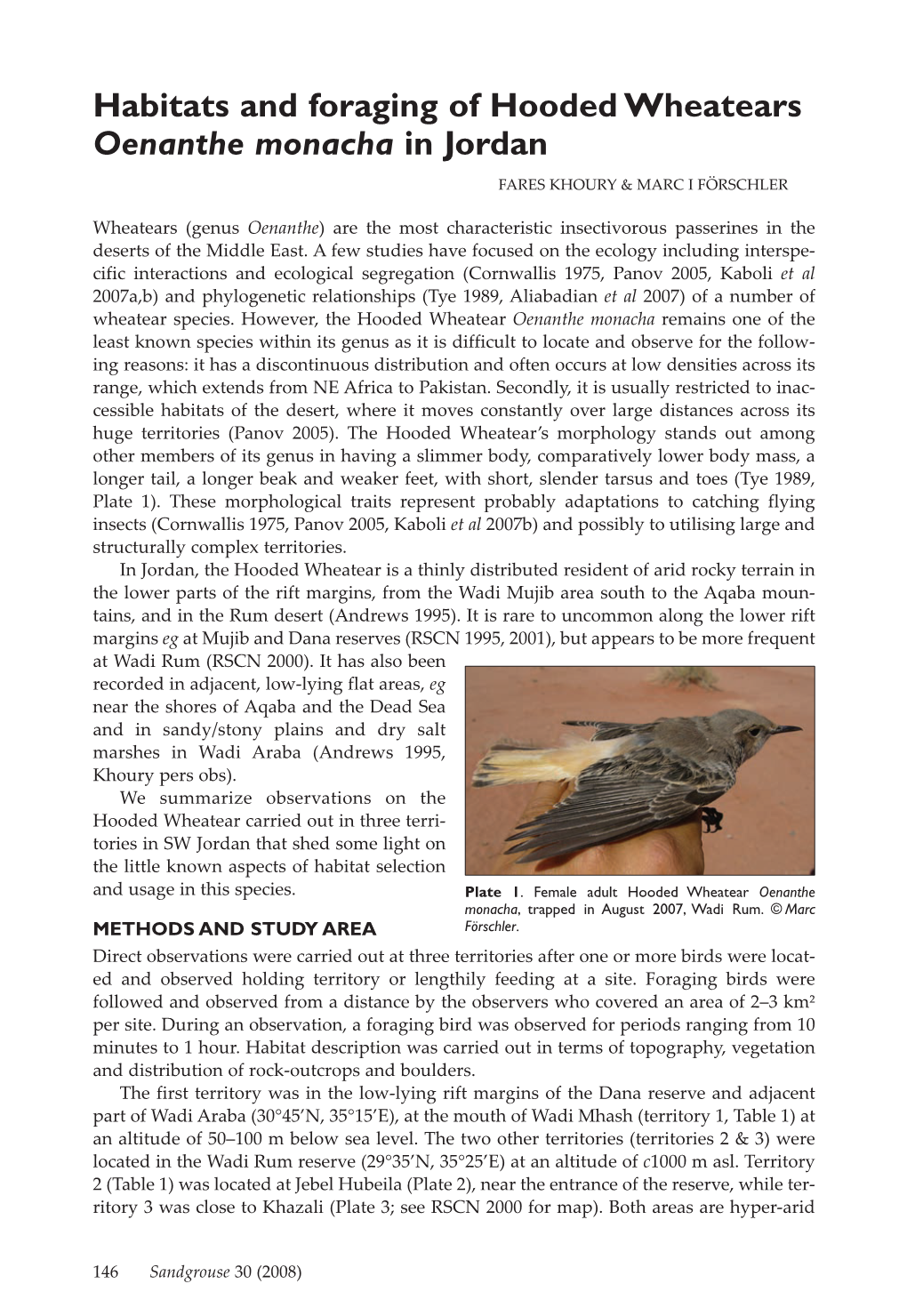 Habitats and Foraging of Hooded Wheatears Oenanthe Monacha in Jordan