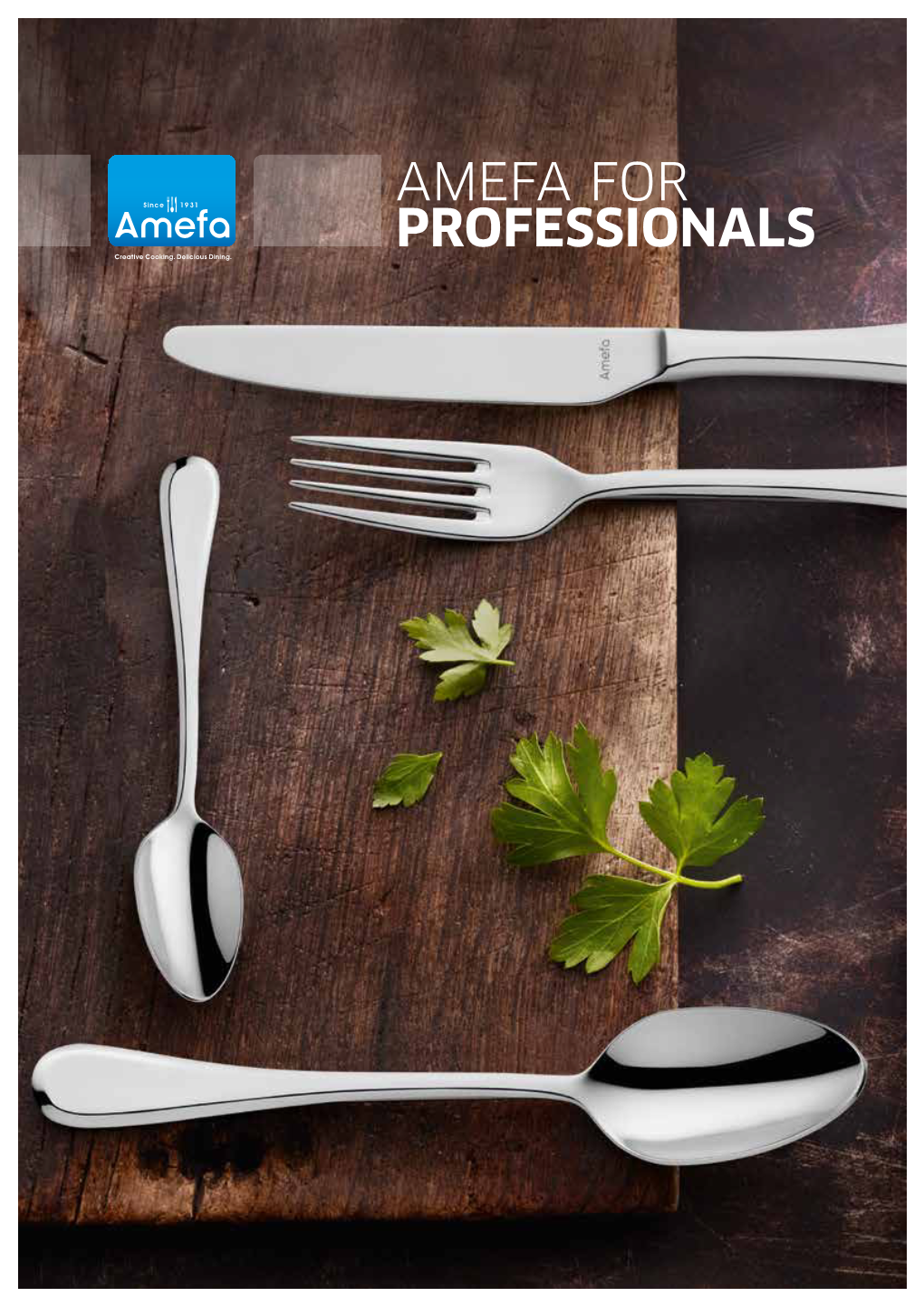 Amefa for Professionals About About Amefa