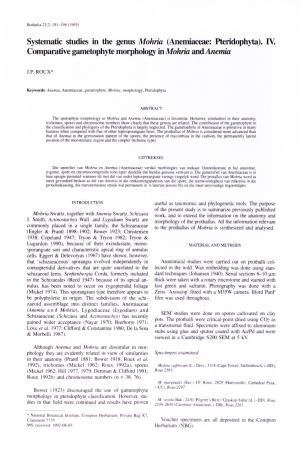 Systematic Studies in the Genus Mohria (Anemiaceae: Pteridophyta). IV