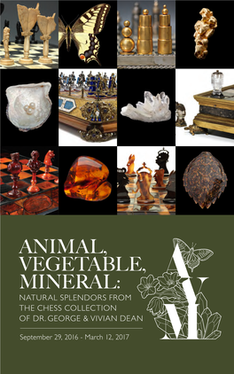 Animal, Vegetable, Mineral Exhibition Brochure