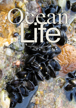 | Ocean Life | Vol. 2 | M Ytilu S Sp . P H O to B Y a N D Re a S Tre P Te