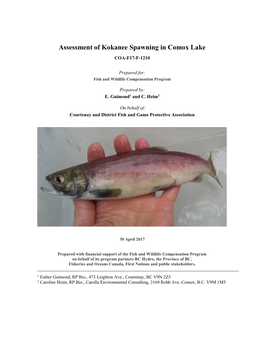 Assessment of Kokanee Spawning in Comox Lake