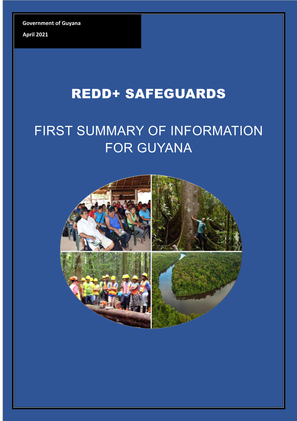 Redd+ Safeguards First Summary of Information For