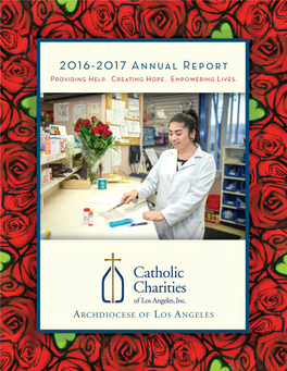 2016-2017 Annual Report Providing Help