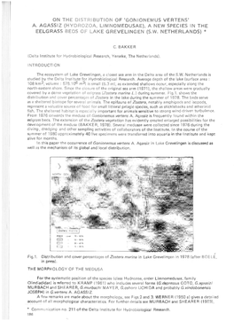 On the Distribution of 'Gonionemus Vertens' A