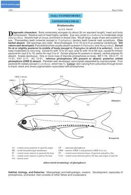 Order STOMIIFORMES