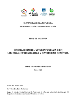 Circulación Del Virus Influenza B En Uruguay: Epidemiología Y Diversidad Genética