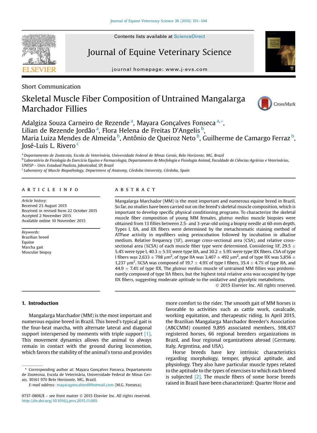 Skeletal Muscle Fiber Composition of Untrained Mangalarga Marchador Fillies