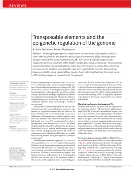 Transposable Elements and the Epigenetic Regulation of the Genome