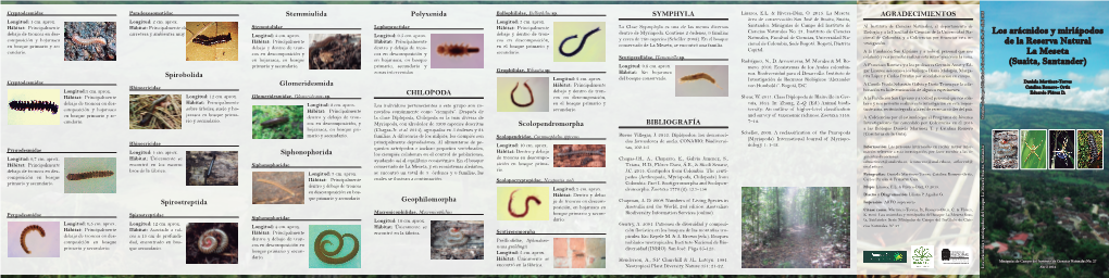 Los Arácnidos Y Miriápodos De La Reserva Natural La Meseta (Suaita