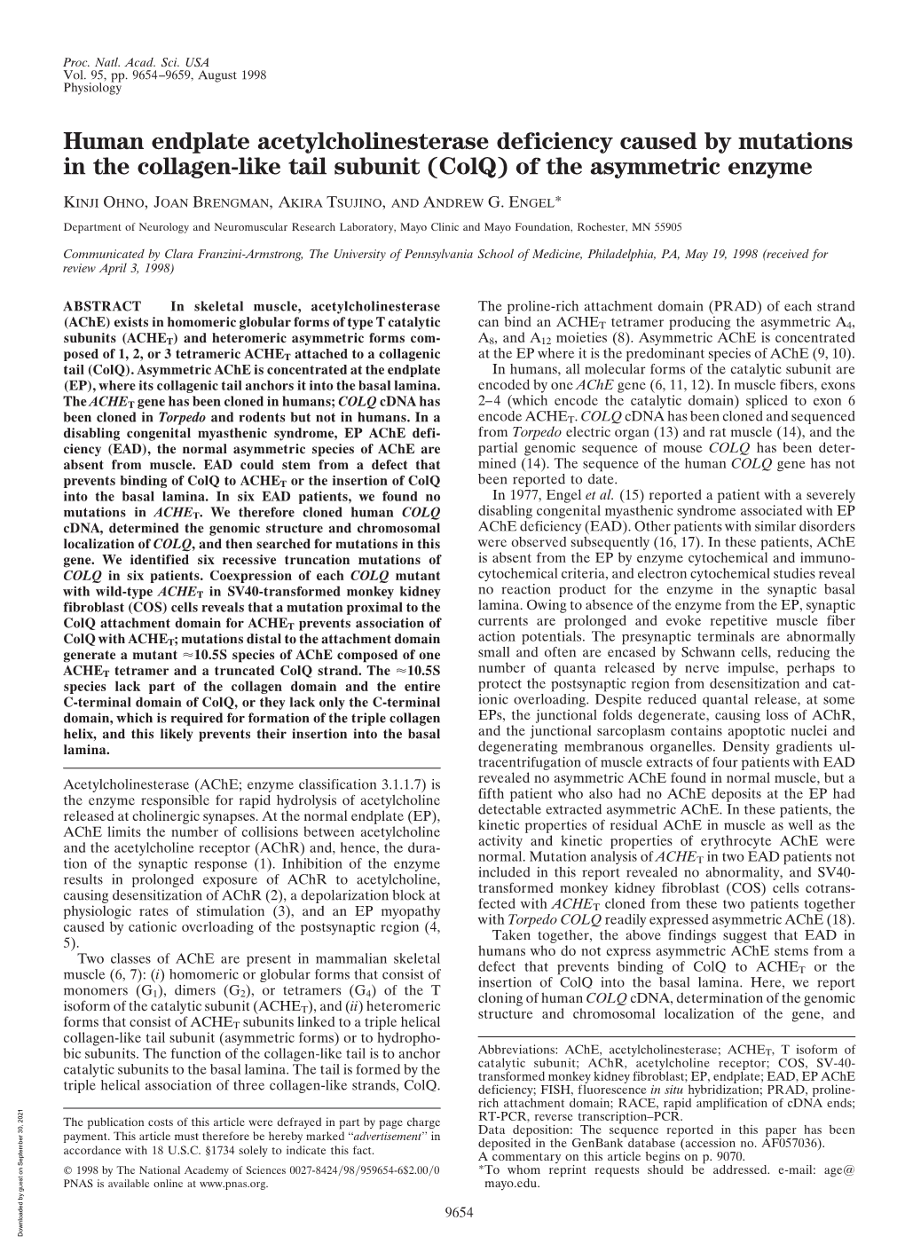 Human Endplate Acetylcholinesterase Deficiency Caused by Mutations in the Collagen-Like Tail Subunit (Colq) of the Asymmetric Enzyme