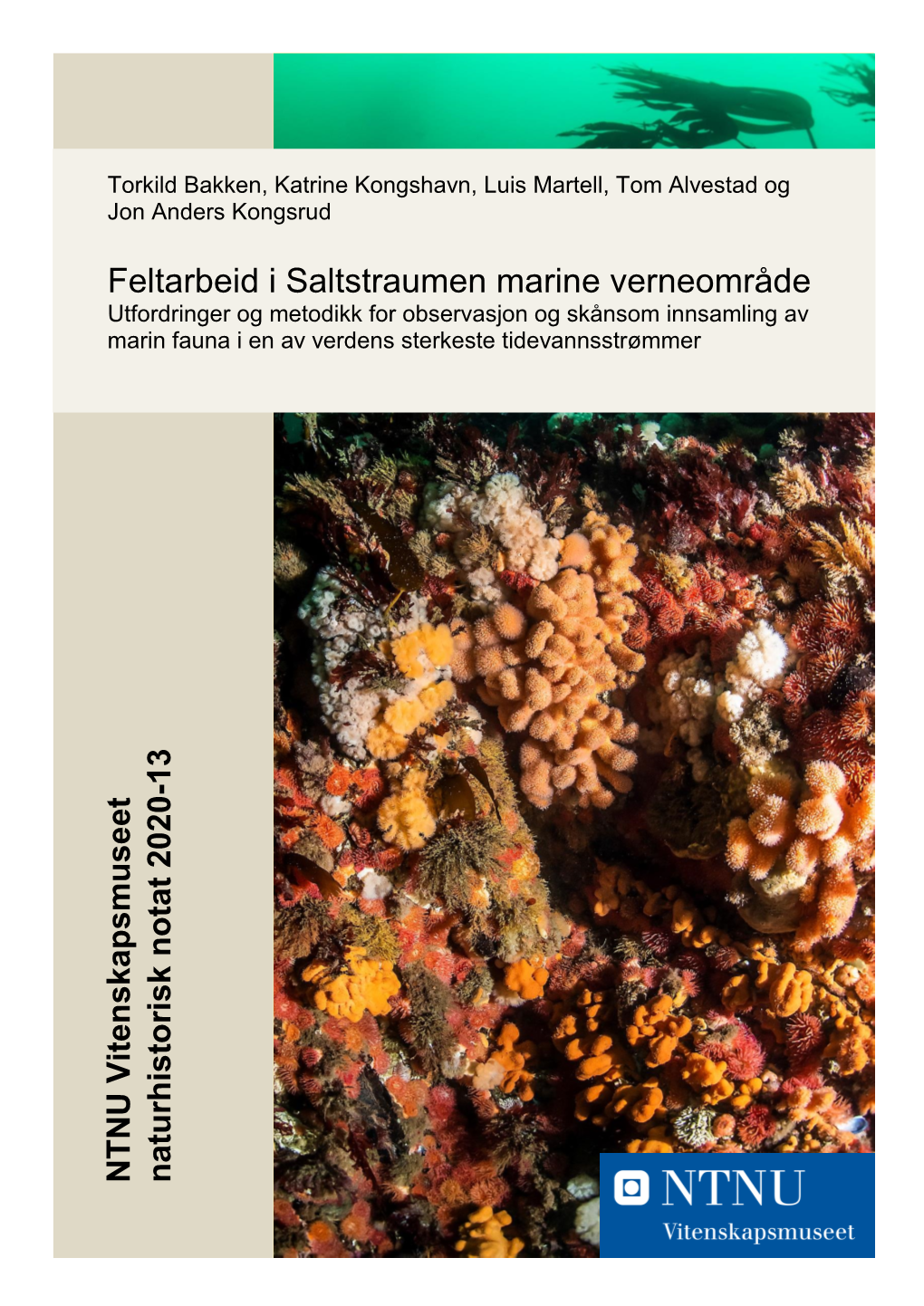 Feltarbeid I Saltstraumen Marine Verneområde