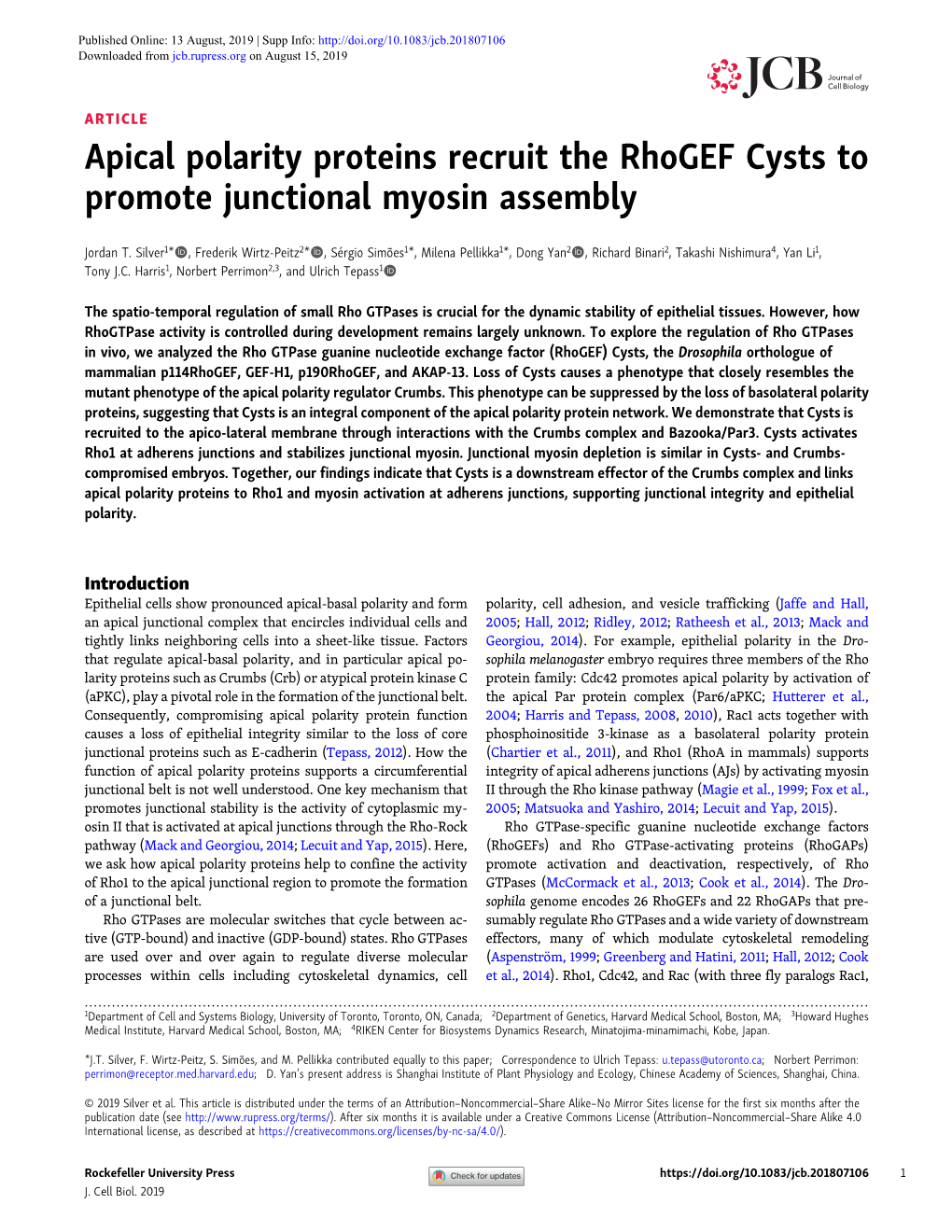 Apical Polarity Proteins Recruit the Rhogef Cysts to Promote Junctional Myosin Assembly