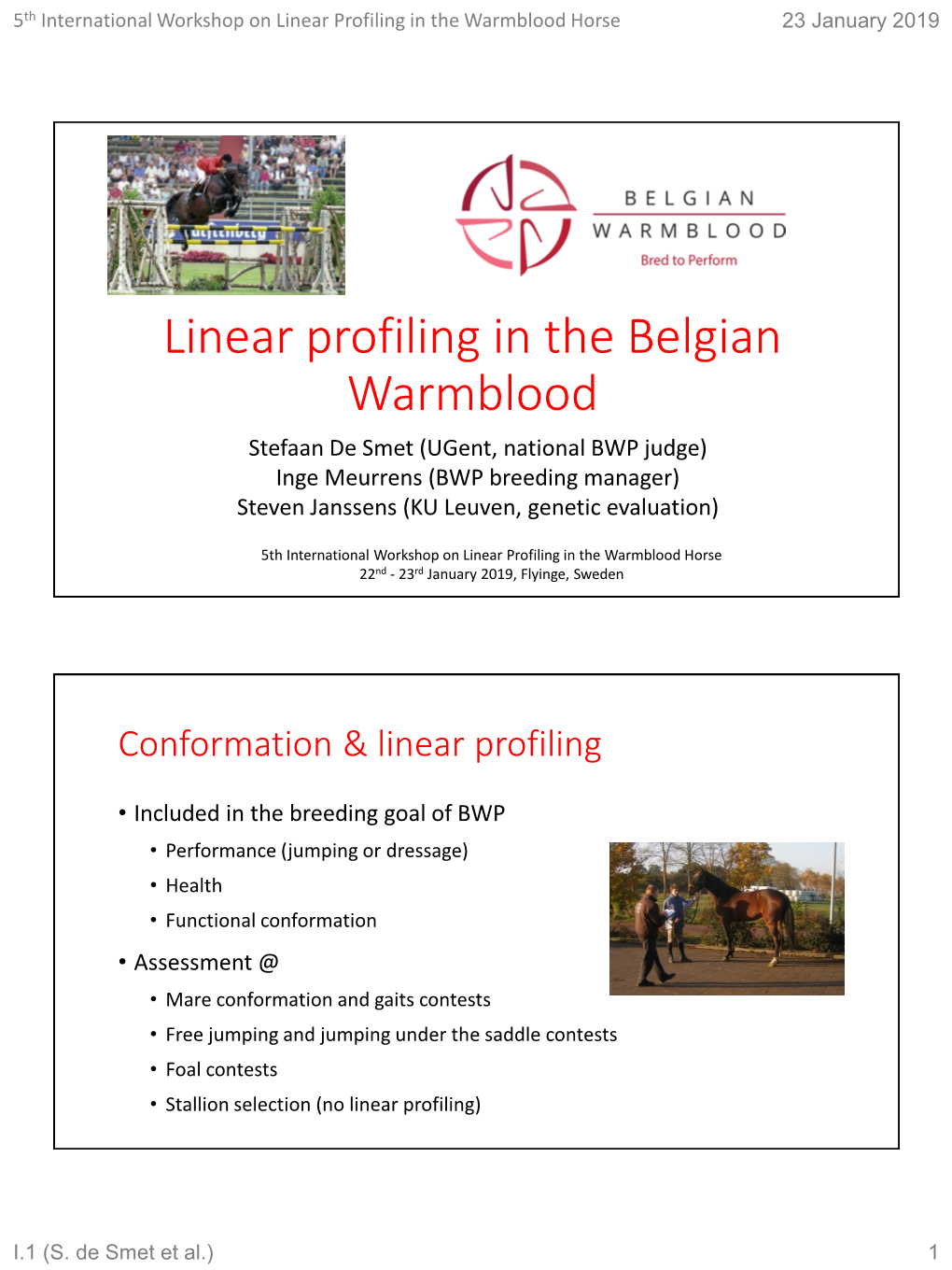 Linear Profiling in the Belgian Warmblood