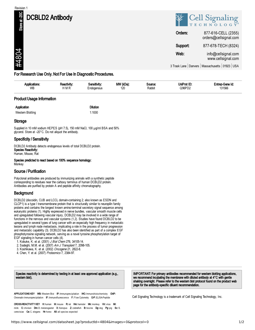 DCBLD2 Antibody A