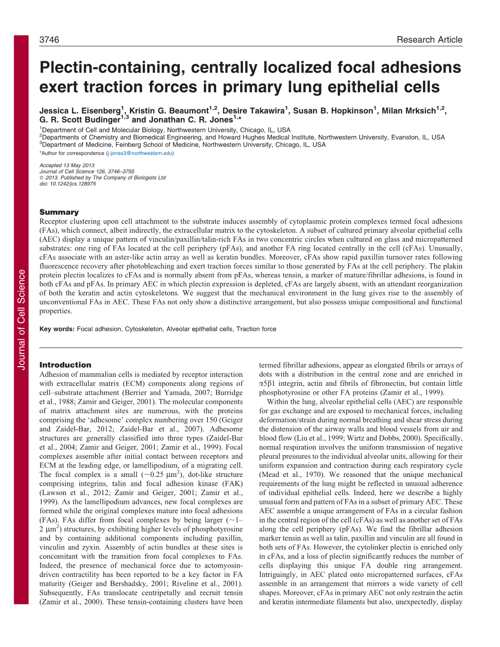 Plectin-Containing, Centrally Localized Focal Adhesions Exert Traction Forces