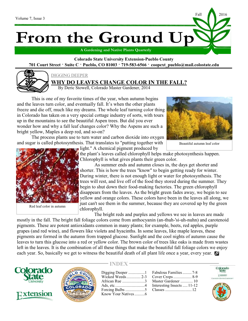 WHY DO LEAVES CHANGE COLOR in the FALL? by Deric Stowell, Colorado Master Gardener, 2014