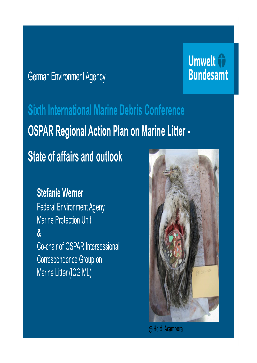 OSPAR Regional Action Plan on Marine Litter - State of Affairs and Outlook