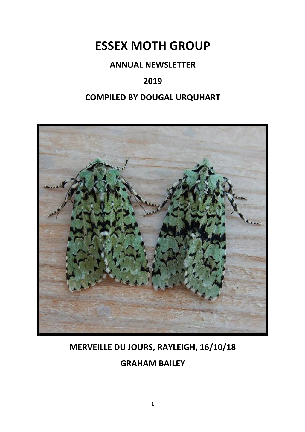 Essex Moth Group Annual Newsletter 2019 Compiled by Dougal Urquhart