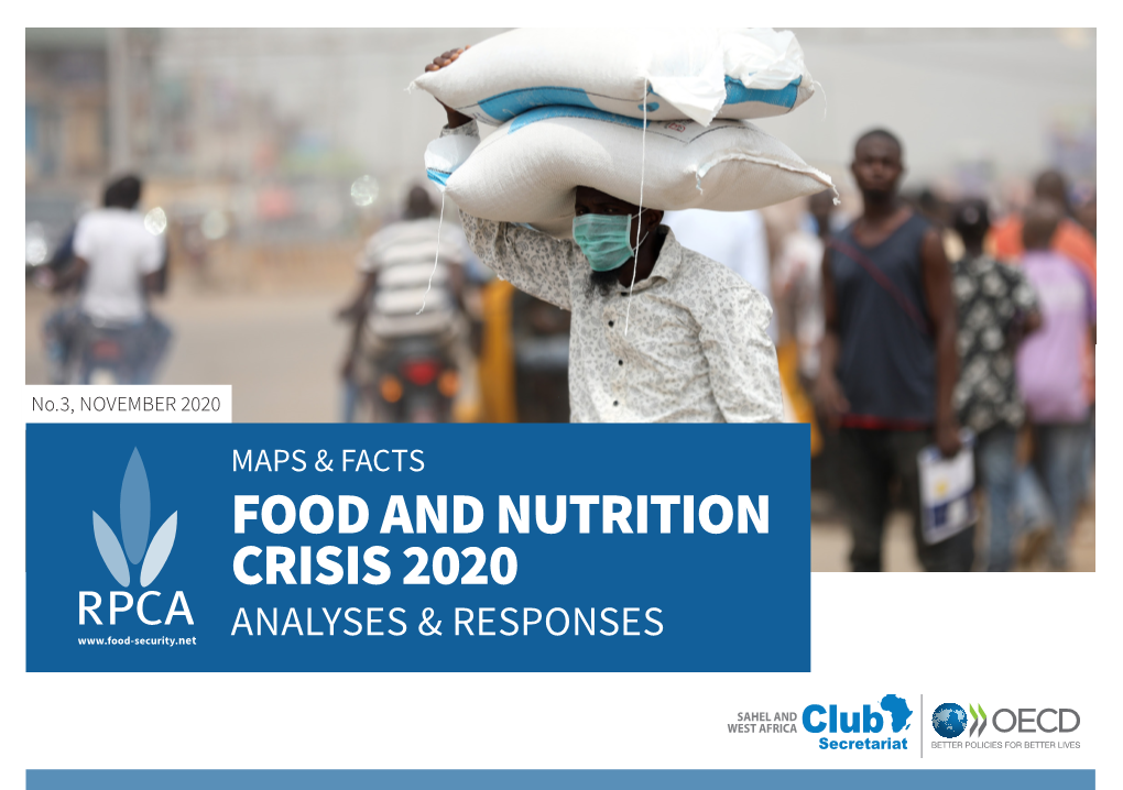 Maps & Facts: Food and Nutrition Crisis 2020, Analyses & Responses