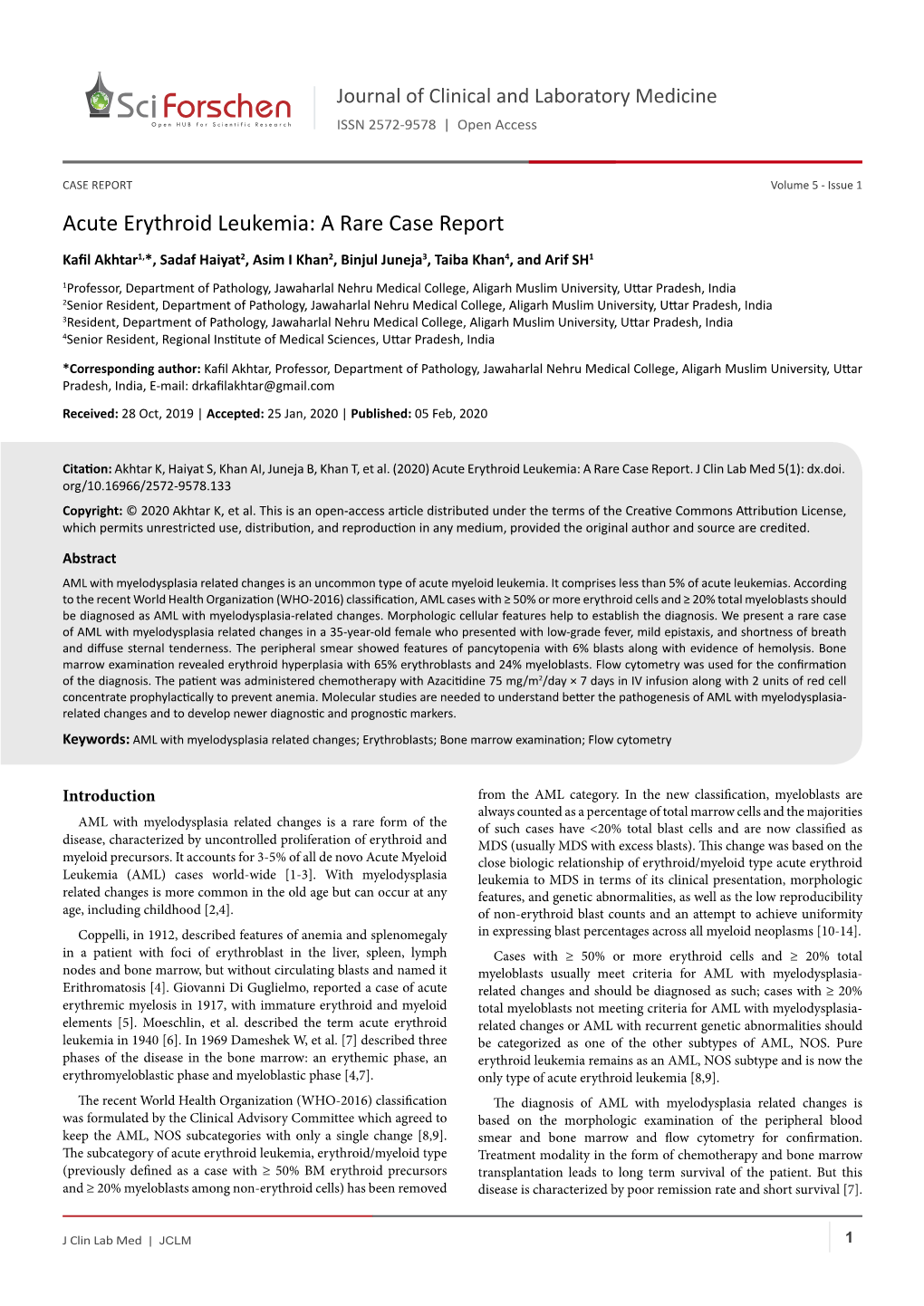 Acute Erythroid Leukemia: a Rare Case Report