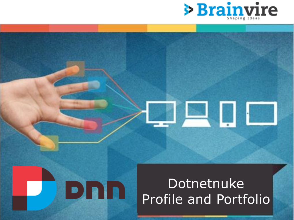 Dotnetnuke Profile and Portfolio Company Profile