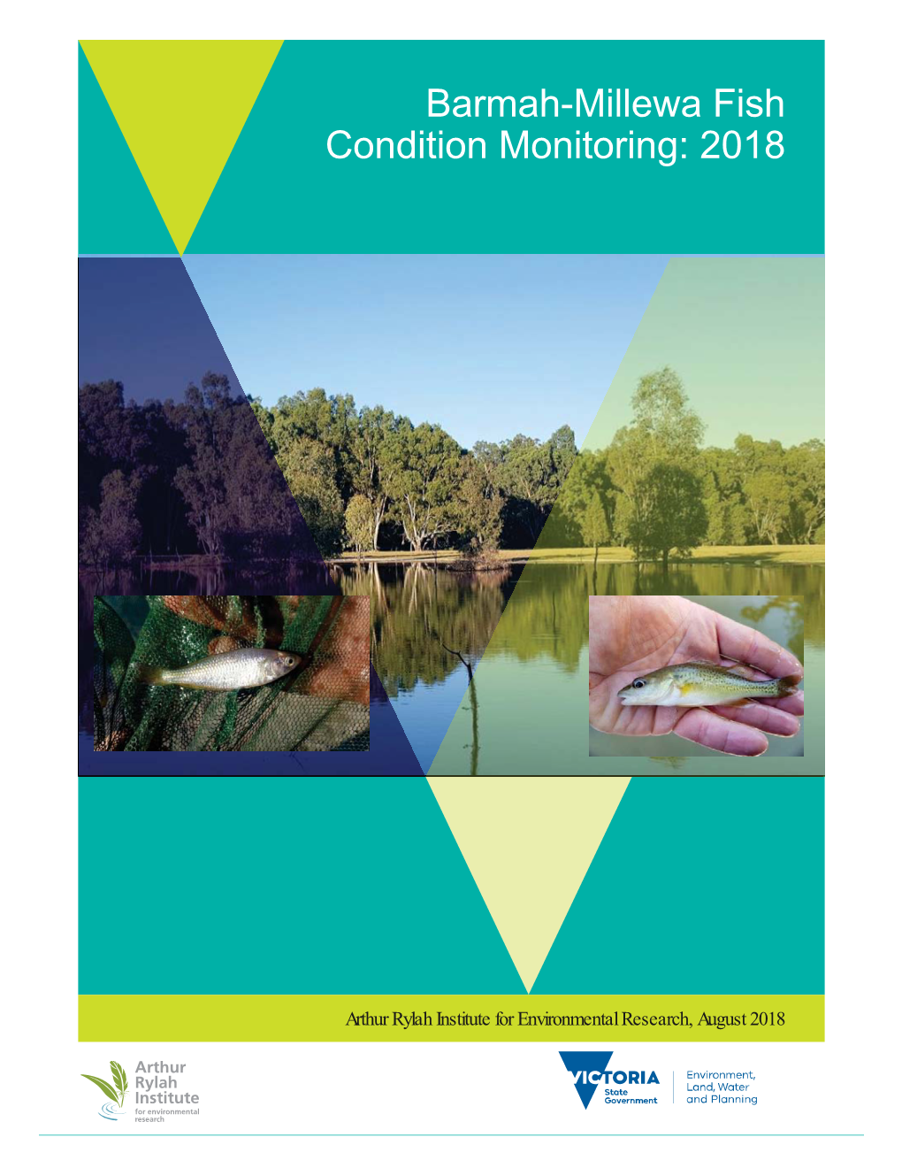 Barmah-Millewa Fish Condition Monitoring: 2018