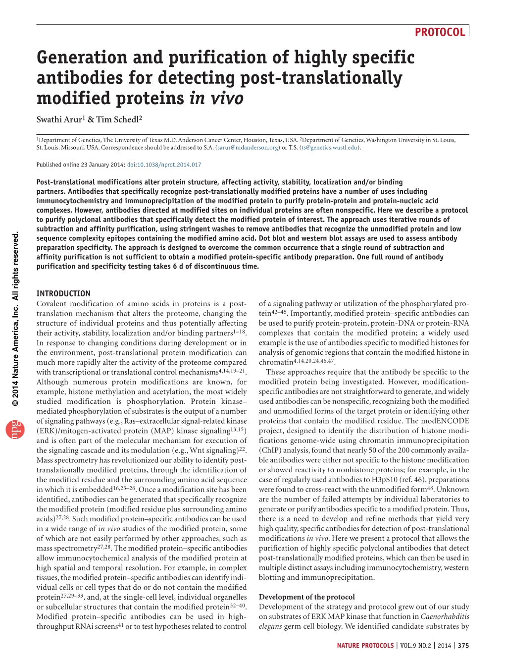 Generation and Purification of Highly Specific Antibodies for Detecting