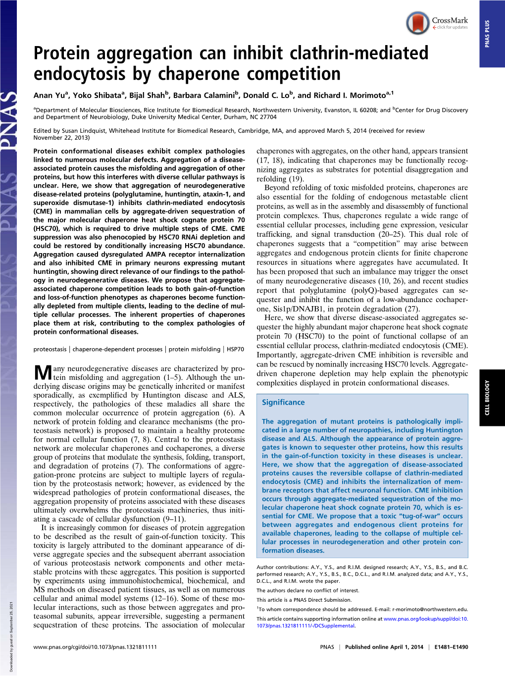 Protein Aggregation Can Inhibit Clathrin-Mediated Endocytosis By