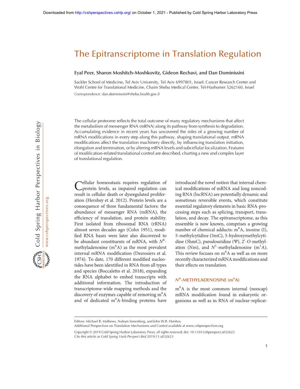 The Epitranscriptome in Translation Regulation