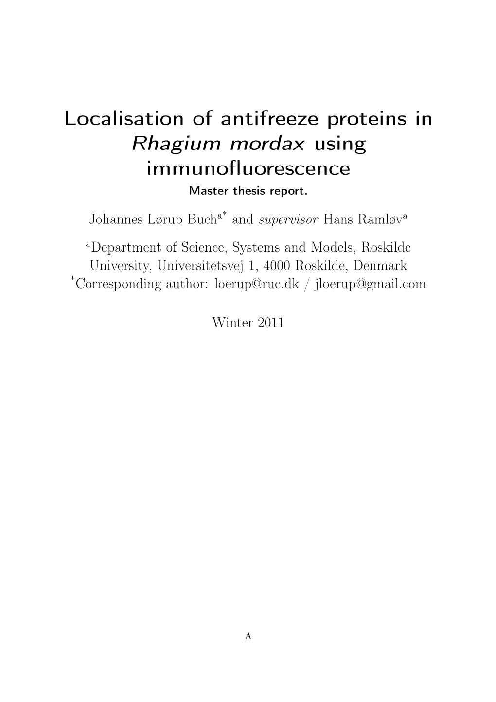 Localisation of Antifreeze Proteins in Rhagium Mordax Using Immunoﬂuorescence Master Thesis Report