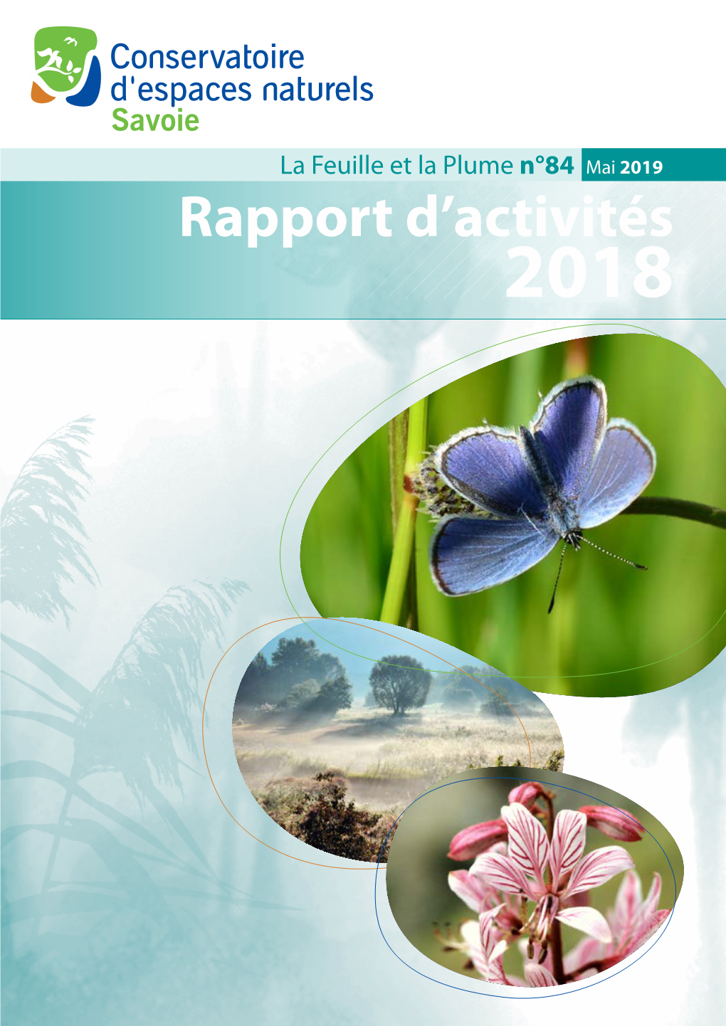 Rapport D'activités