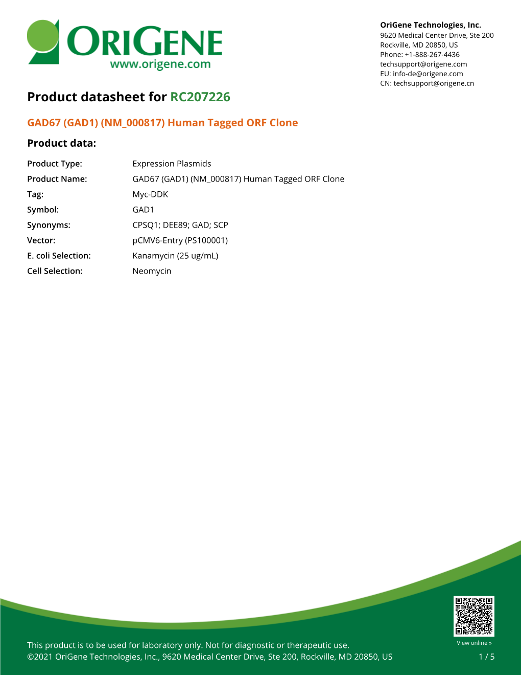 GAD67 (GAD1) (NM 000817) Human Tagged ORF Clone Product Data