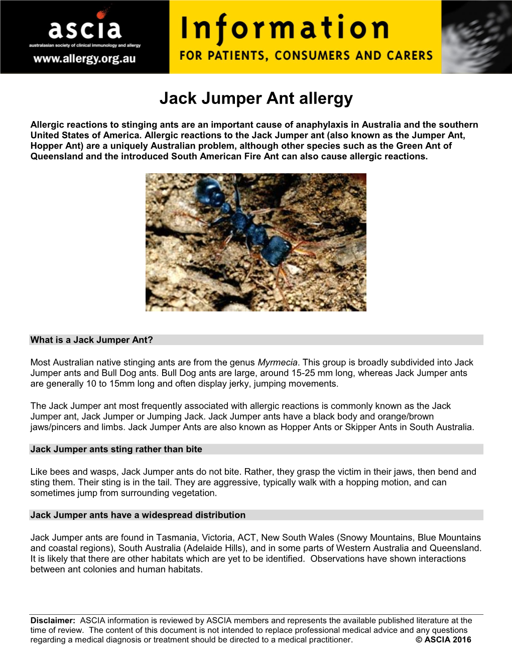 Jack Jumper Ant Allergy