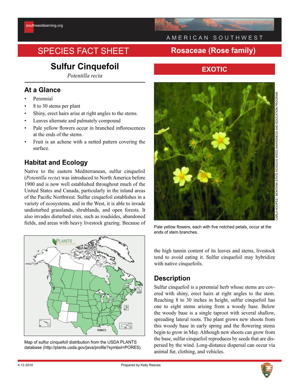 Sulfur Cinquefoil Species Fact Sheet