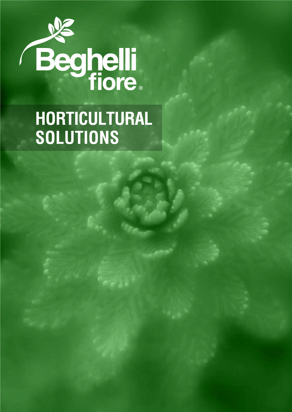 Fiore Brochure 12.10-Reduced Size