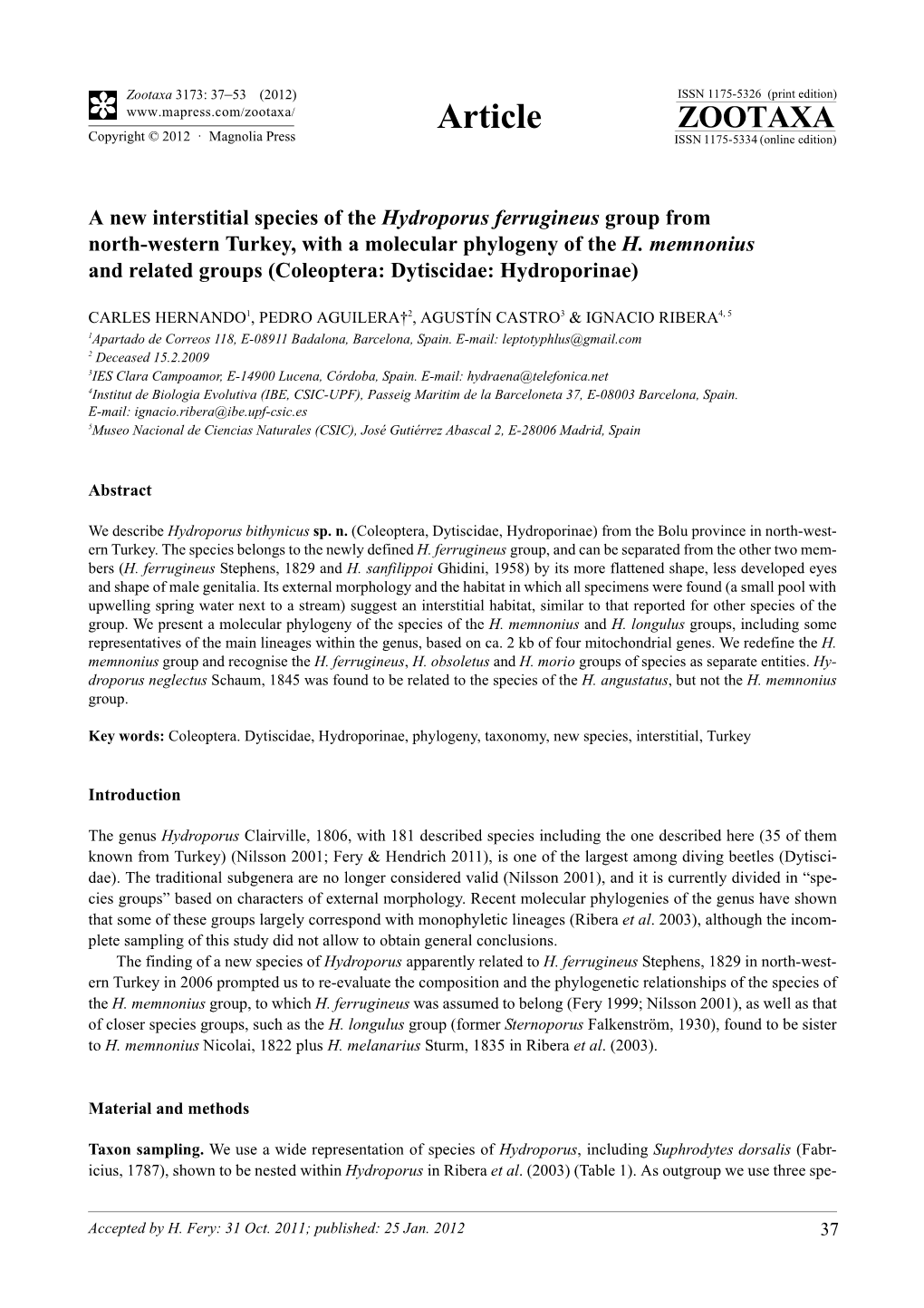 A New Interstitial Species of the Hydroporus Ferrugineus Group from North-Western Turkey, with a Molecular Phylogeny of the H