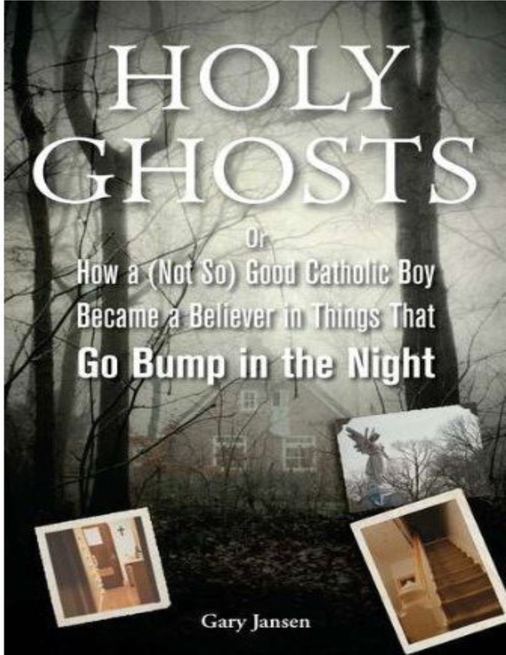 Holy Ghosts, Or, How a (Not So) Good Catholic Boy Became a Believer in Things That Go Bump in the Night / Gary Jansen