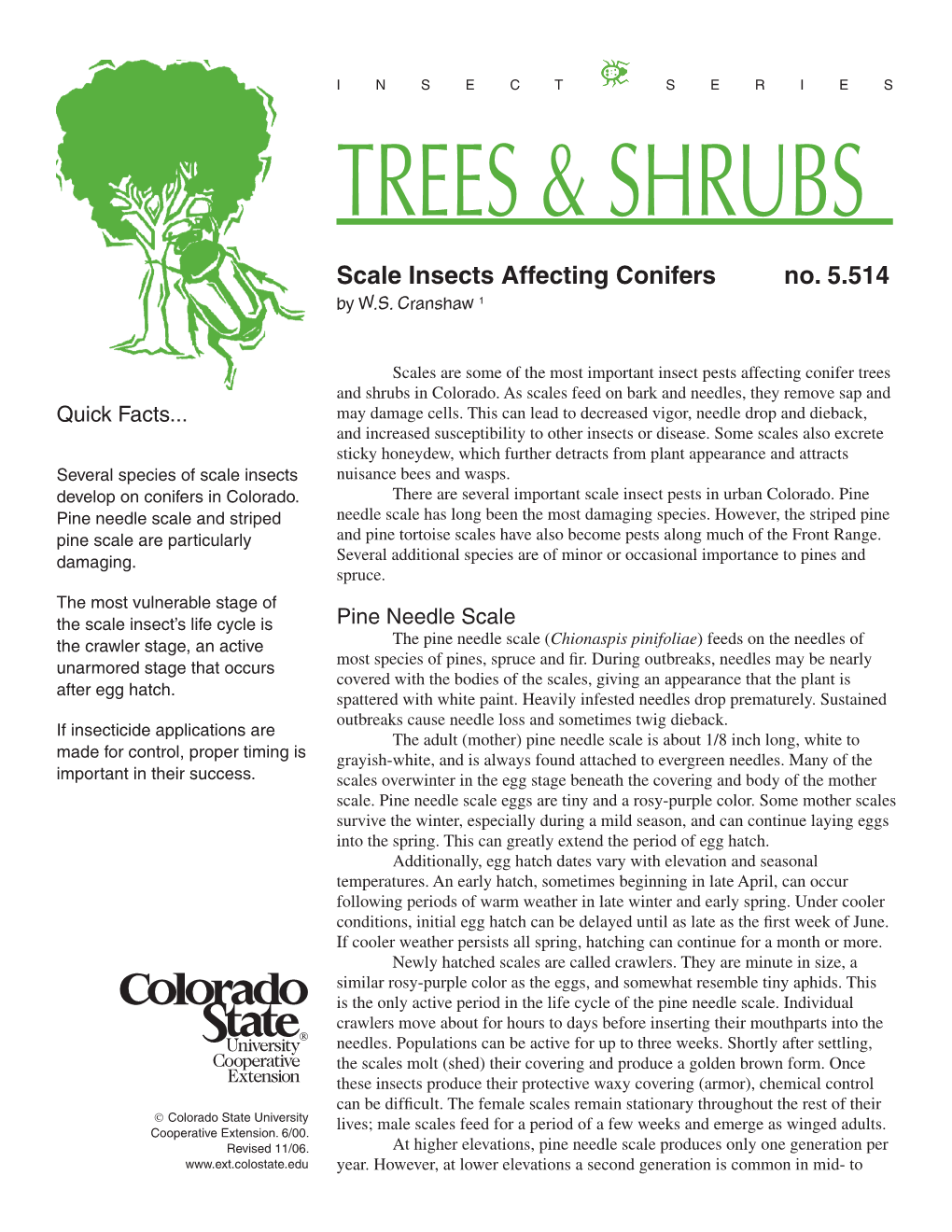 Trees & Shrubs