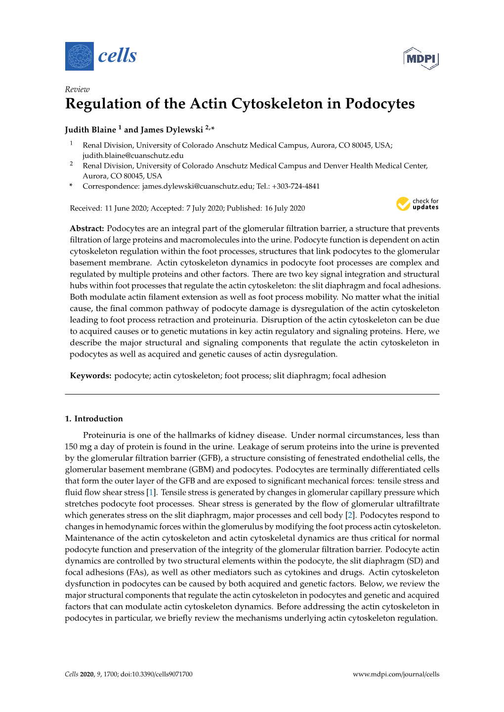 Regulation of the Actin Cytoskeleton in Podocytes