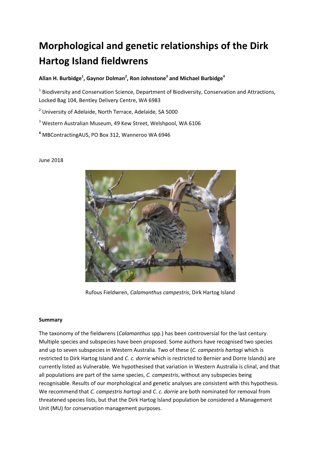 Morphological and Genetic Relationships of the Dirk Hartog Island Fieldwrens