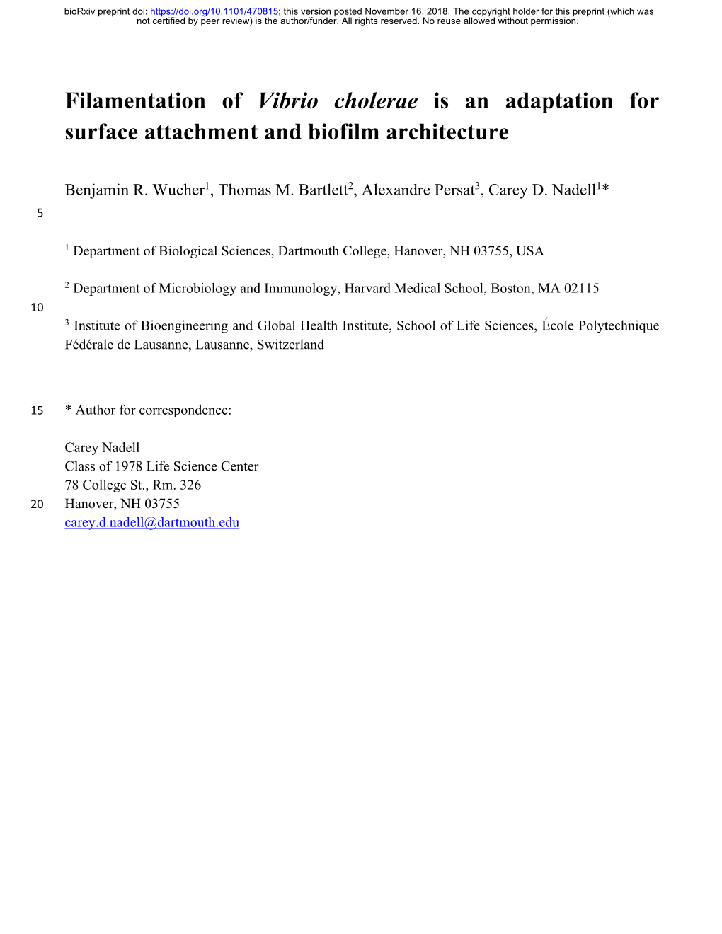 Filamentation of Vibrio Cholerae Is an Adaptation for Surface Attachment and Biofilm Architecture