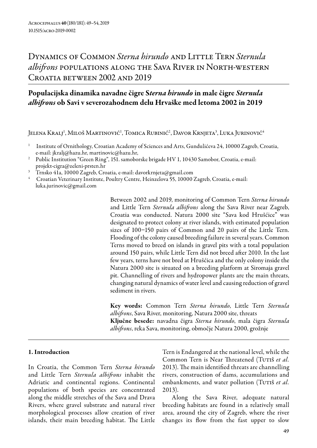 Dynamics of Common Sterna Hirundo and Little Tern Sternula Albifrons