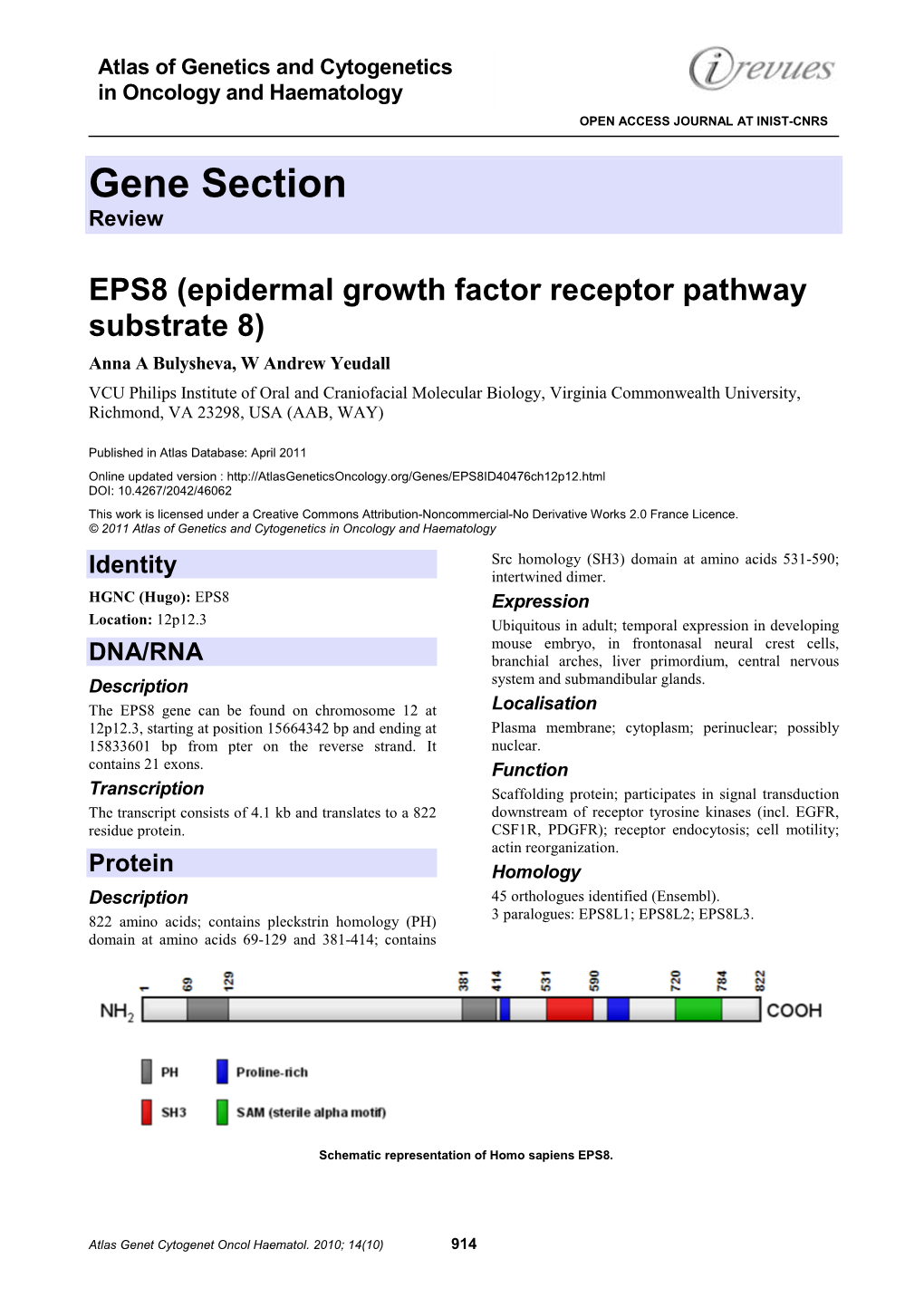 EPS8 (Epidermal Growth Factor Receptor Pathway Substrate 8)