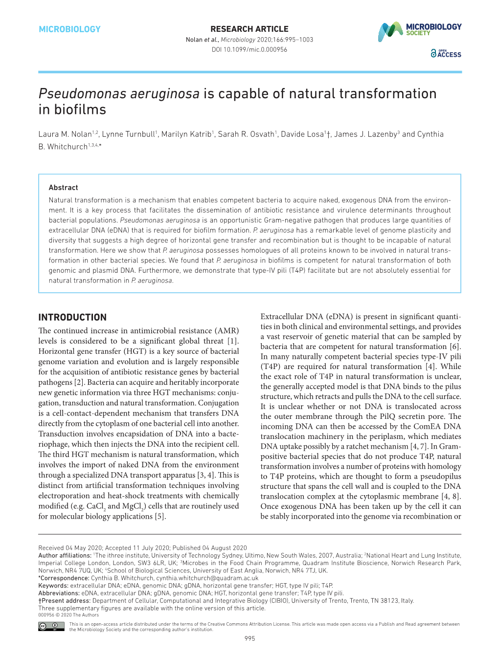 Pseudomonas Aeruginosa Is Capable of Natural Transformation in Biofilms