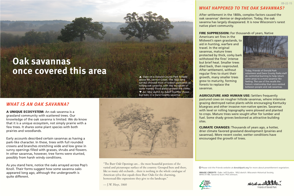 OAK SAVANNAS? After Settlement in the 1800S, Complex Factors Caused the Oak Savannas’ Demise Or Degradation