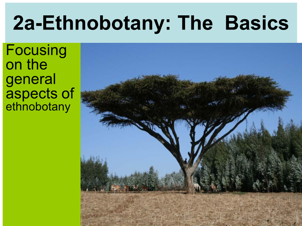 Ethnobotany Lecture II- the Basics.Pdf