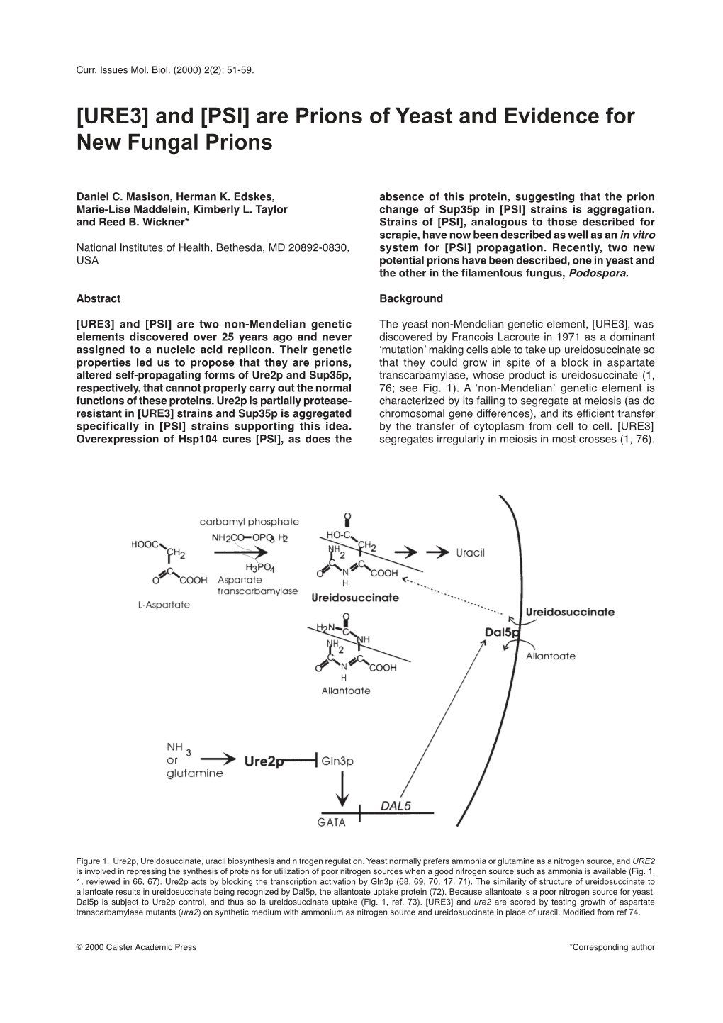 Are Prions of Yeast and Evidence for New Fungal Prions